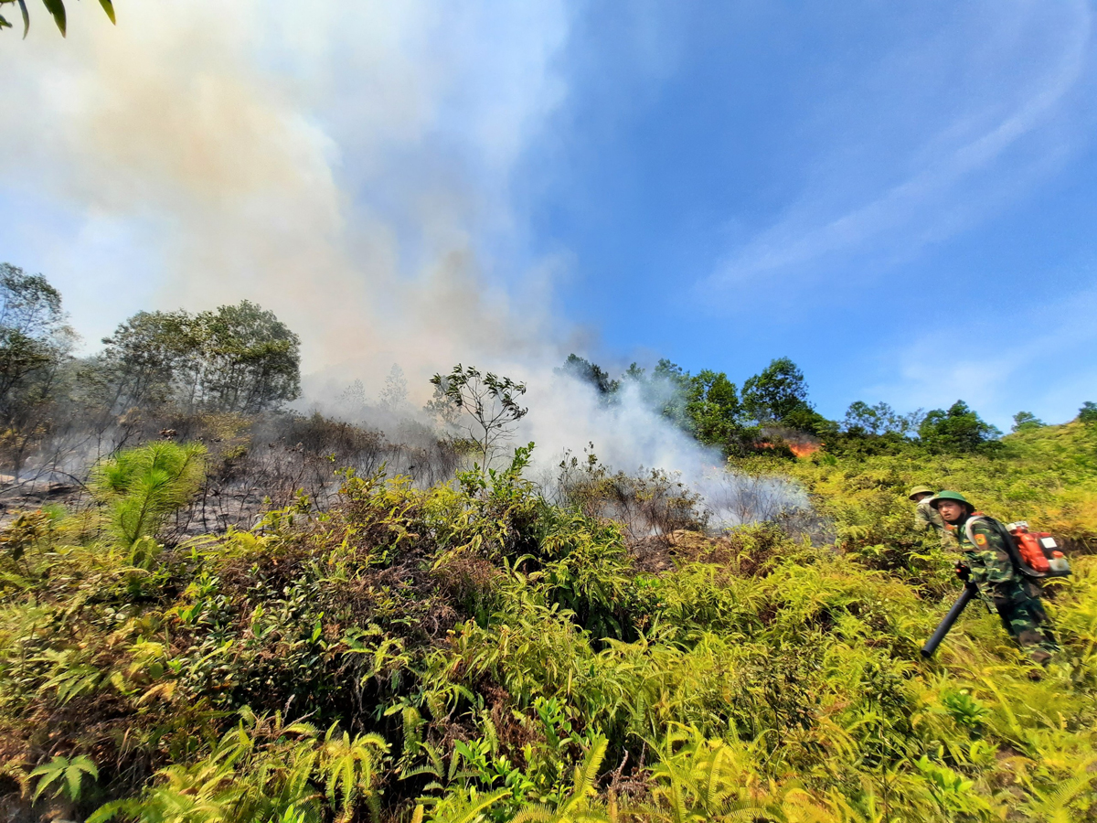 Đám cháy thứ 2 tại Hà Tĩnh bùng phát, các lực lượng khẩn trương dập lửa