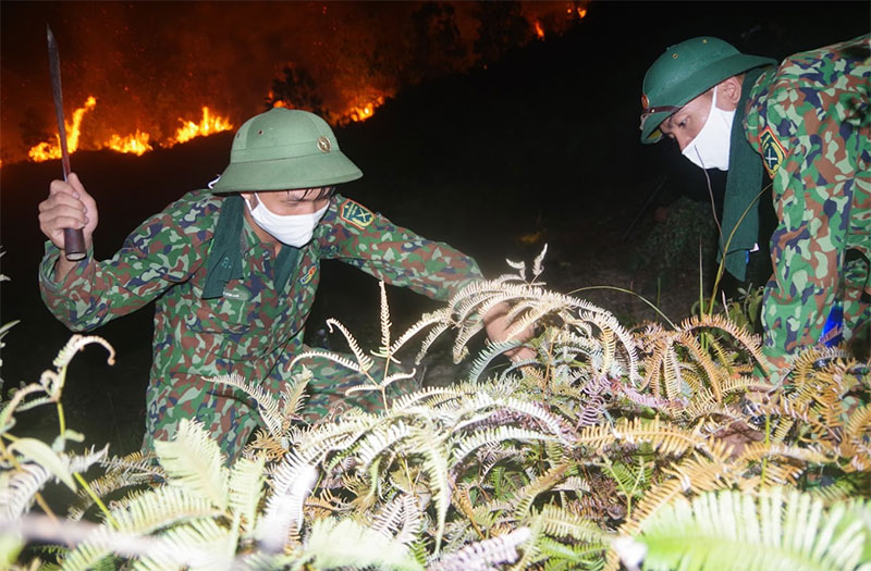 Lực lượng vũ trang Hà Tĩnh trắng đêm dập lửa, cứu rừng