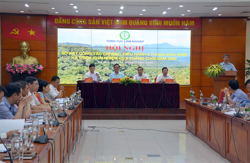 Nắng nóng cực đoan, nguy cơ cháy rừng vẫn còn gia tăng

