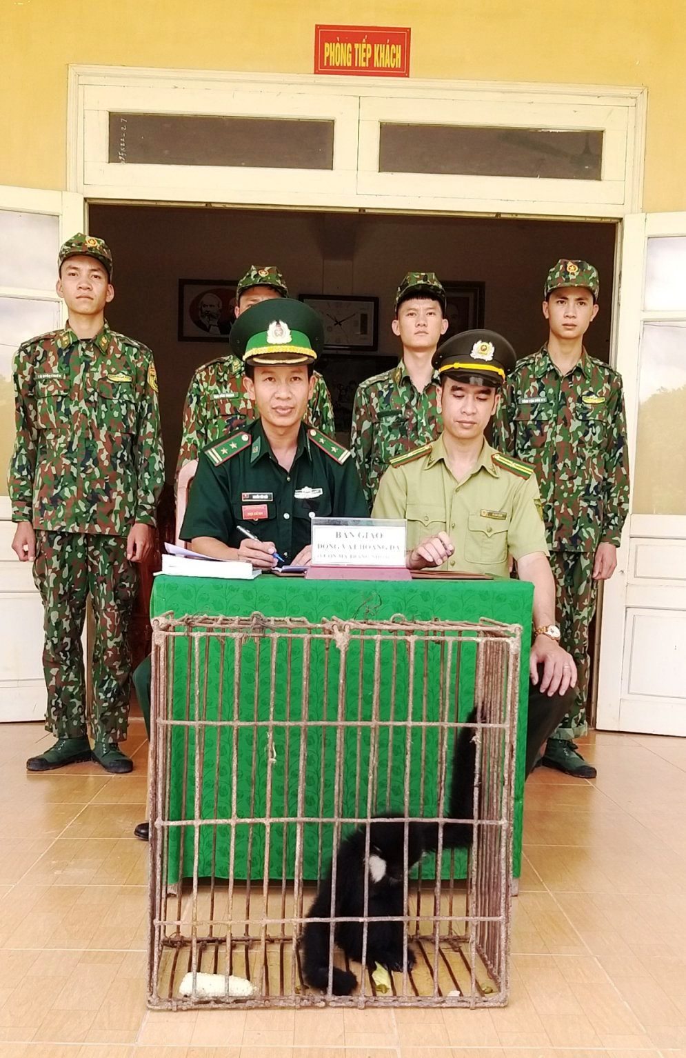 Sơn La: Bàn giao cá thể vượn má trắng cho Hạt Kiểm lâm huyện Sốp Cộp