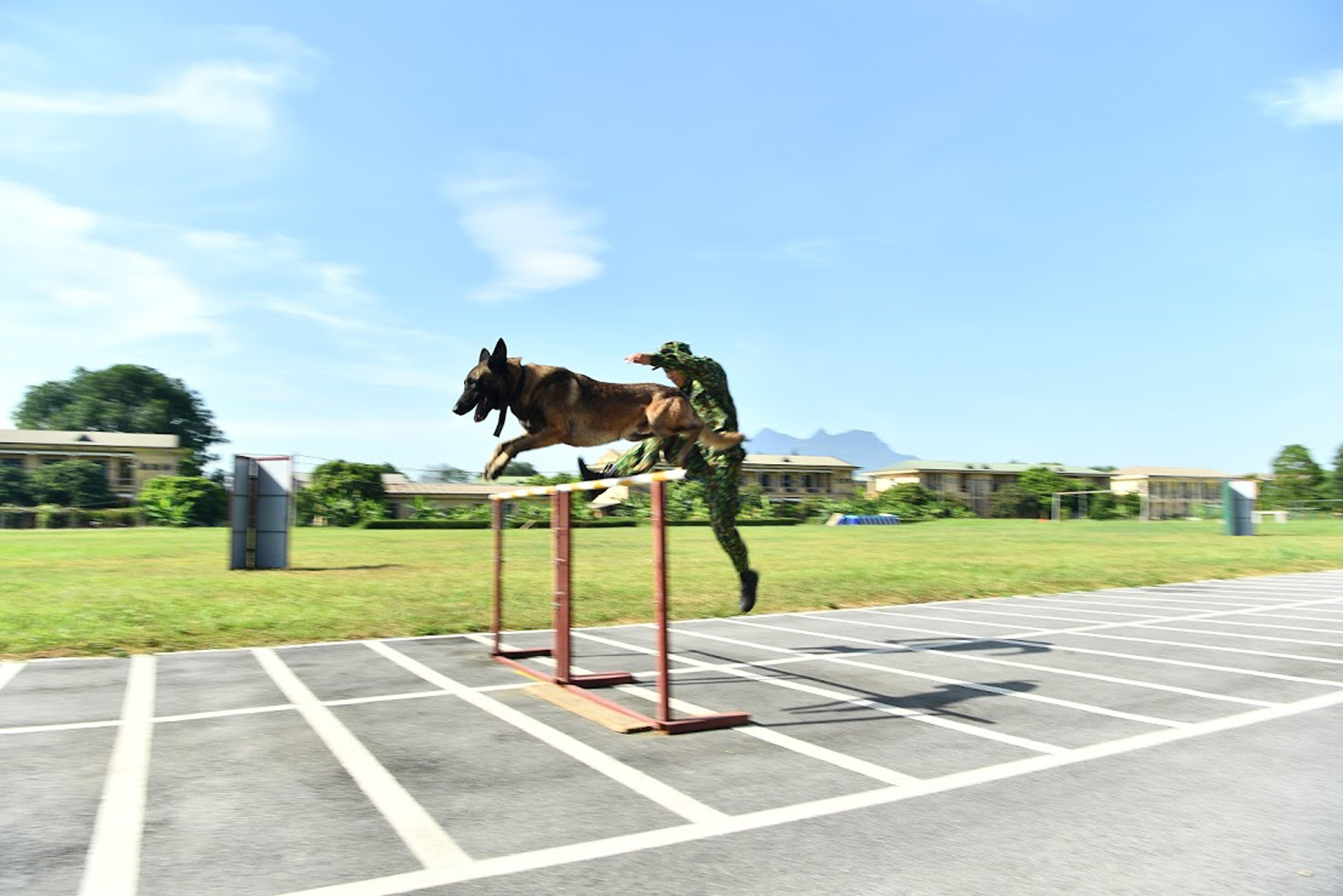 Chó nghiệp vụ biên phòng sẽ lần đầu tranh tài tại Army Games 2020