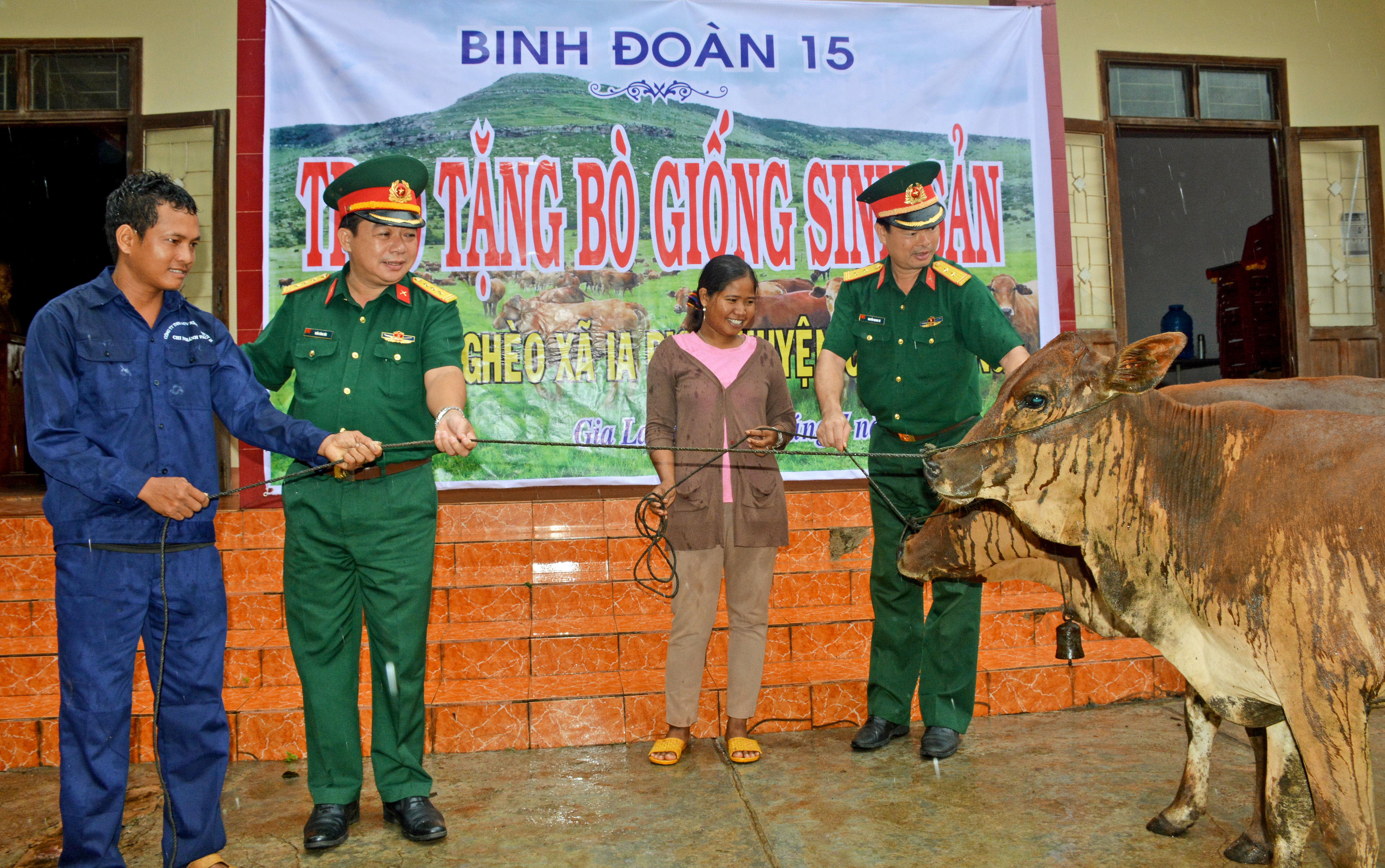 Binh đoàn 15 tặng bò giống sinh sản cho hộ nghèo vùng biên giới tỉnh Gia Lai