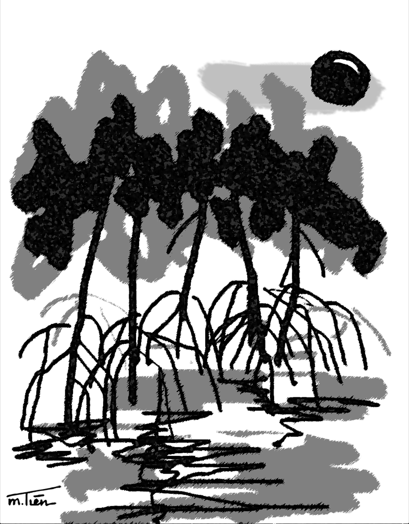 Viết ở bến tàu không số