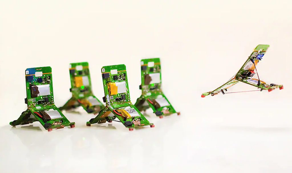 Mô phỏng côn trùng - hướng phát triển robot hiệu quả