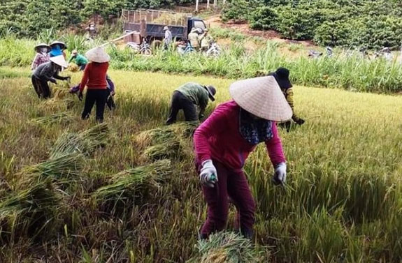 ĐỔI CÔNG, NHẬN ĐOÀN KẾT

