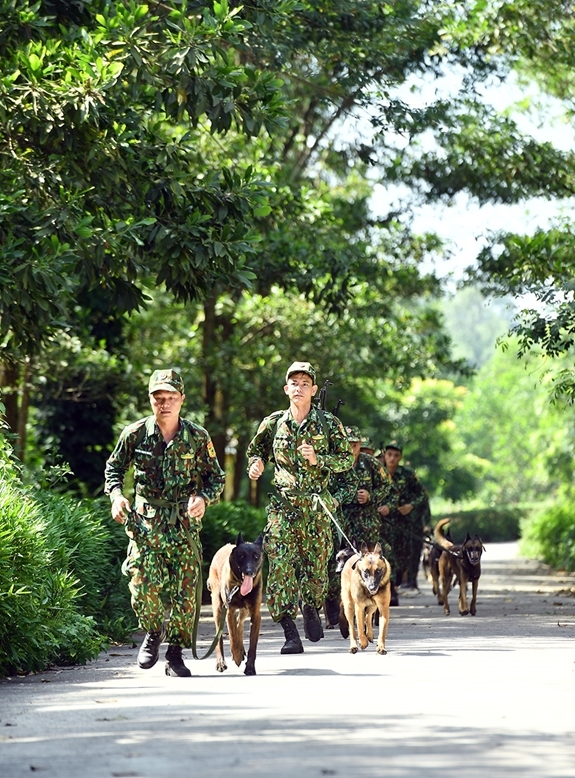 Mỗi ngày các huấn luyện viên và chó nghiệp vụ cũng luyện chạy để nâng cao thể lực đáp ứng yêu cầu bài thi.