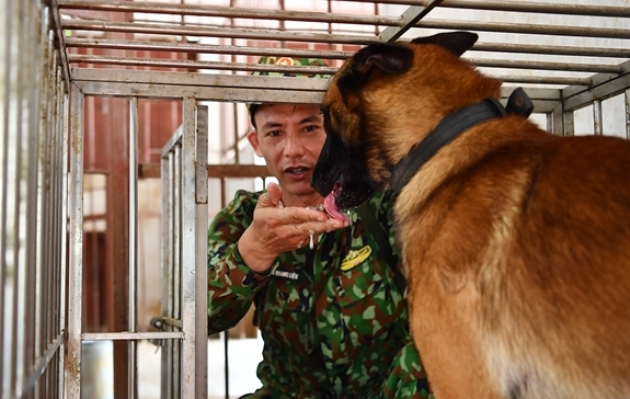 Với công tác huấn luyện chó nghiệp vụ thì những huấn luyện viên và chó luôn như những người bạn thân thiết.