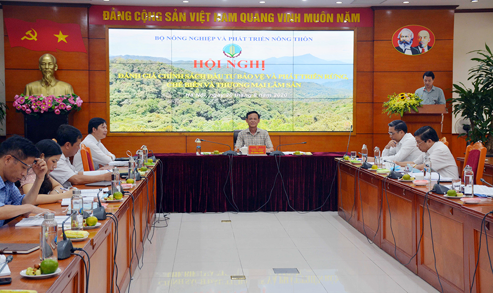 Đầu tư bảo vệ, phát triển rừng ngày càng hiệu quả hơn