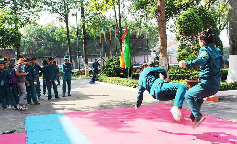 Tham mưu, lãnh đạo thực hiện thắng lợi nhiệm vụ quốc phòng, quân sự địa phương

