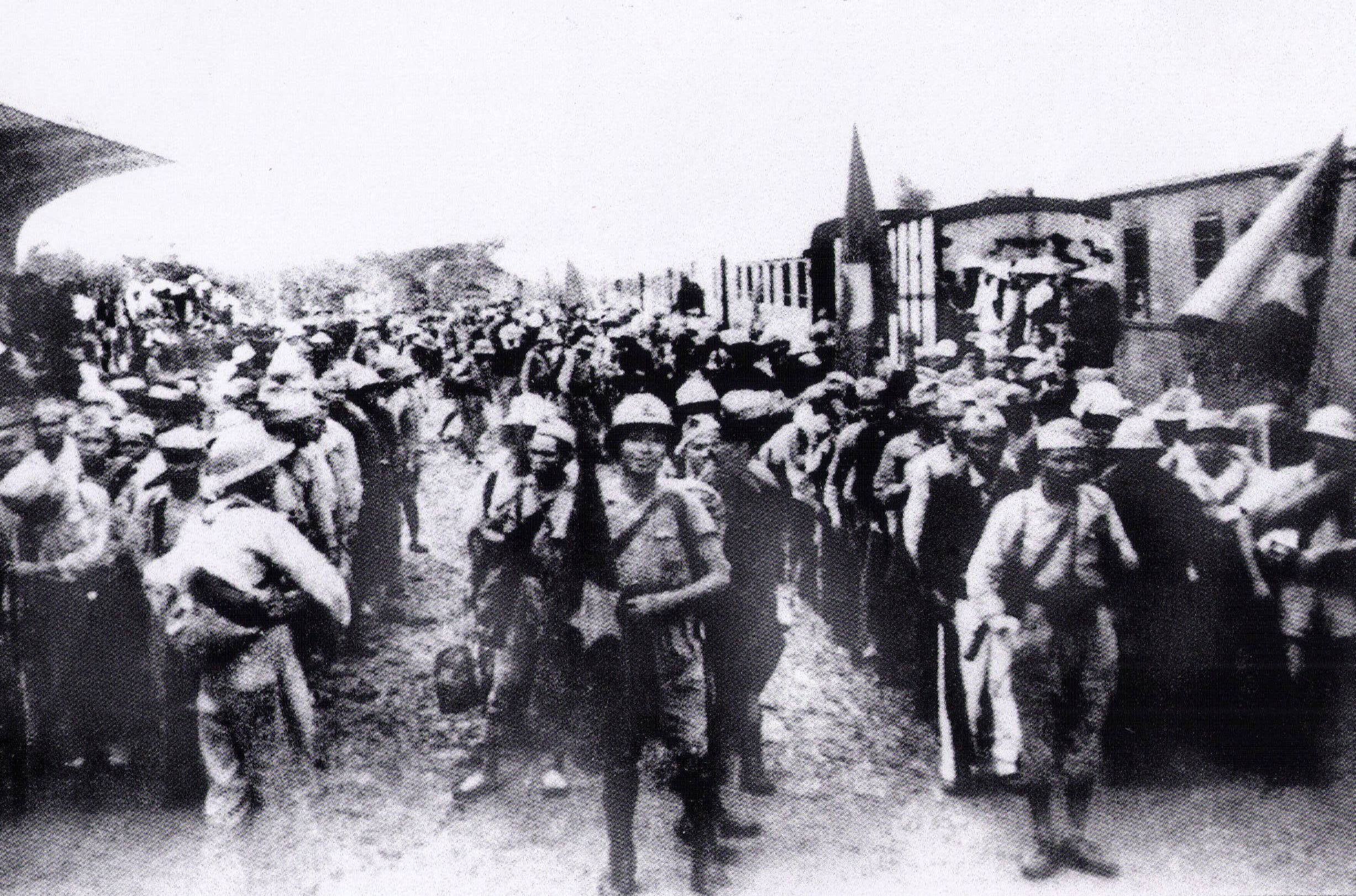 Bộ đội chủ lực