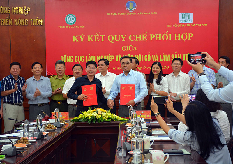 Phát triển ngành kinh tế lâm nghiệp bền vững