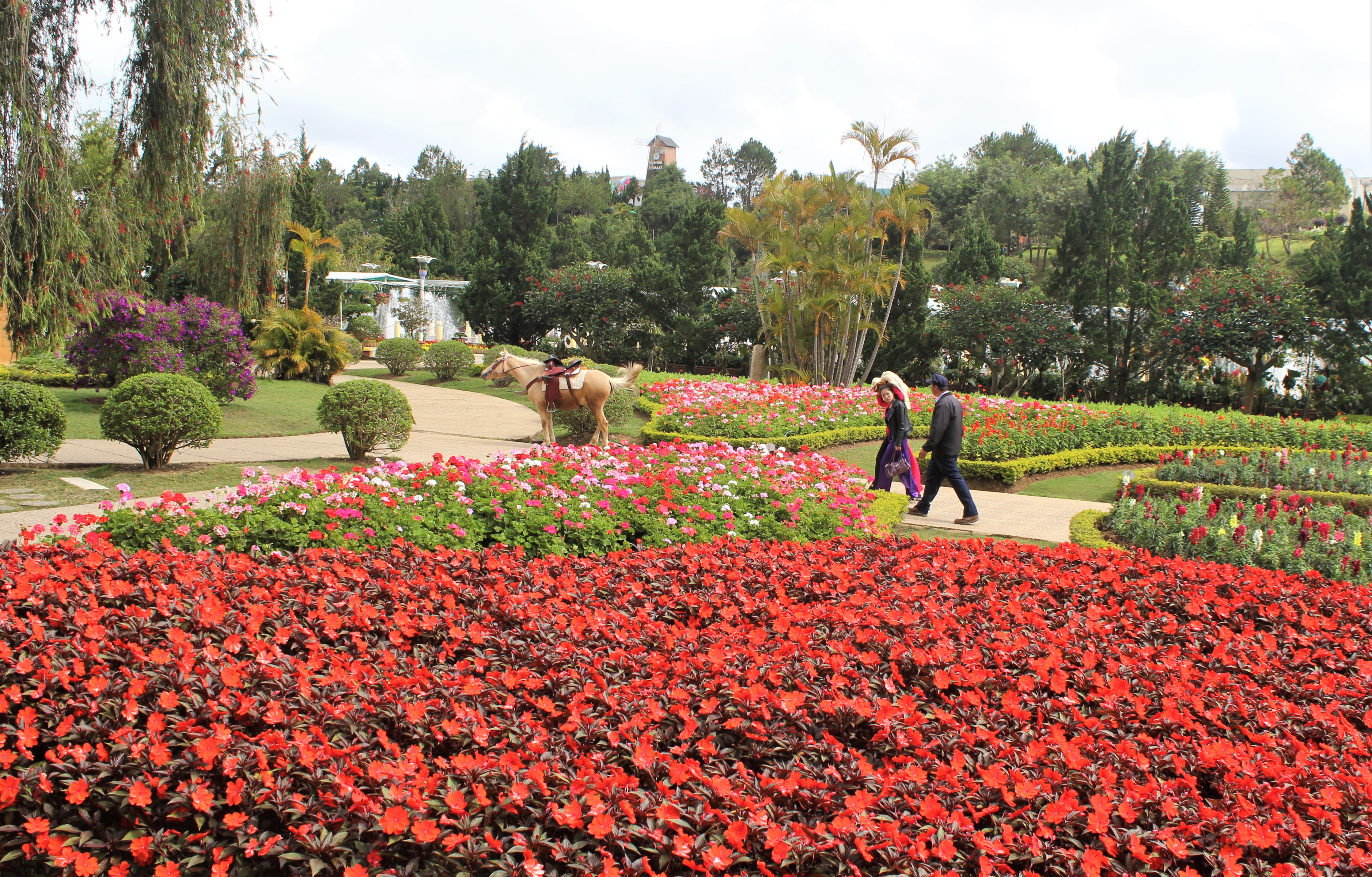 Du lịch Đà Lạt thiệt hại nặng bởi dịch Covid-19

