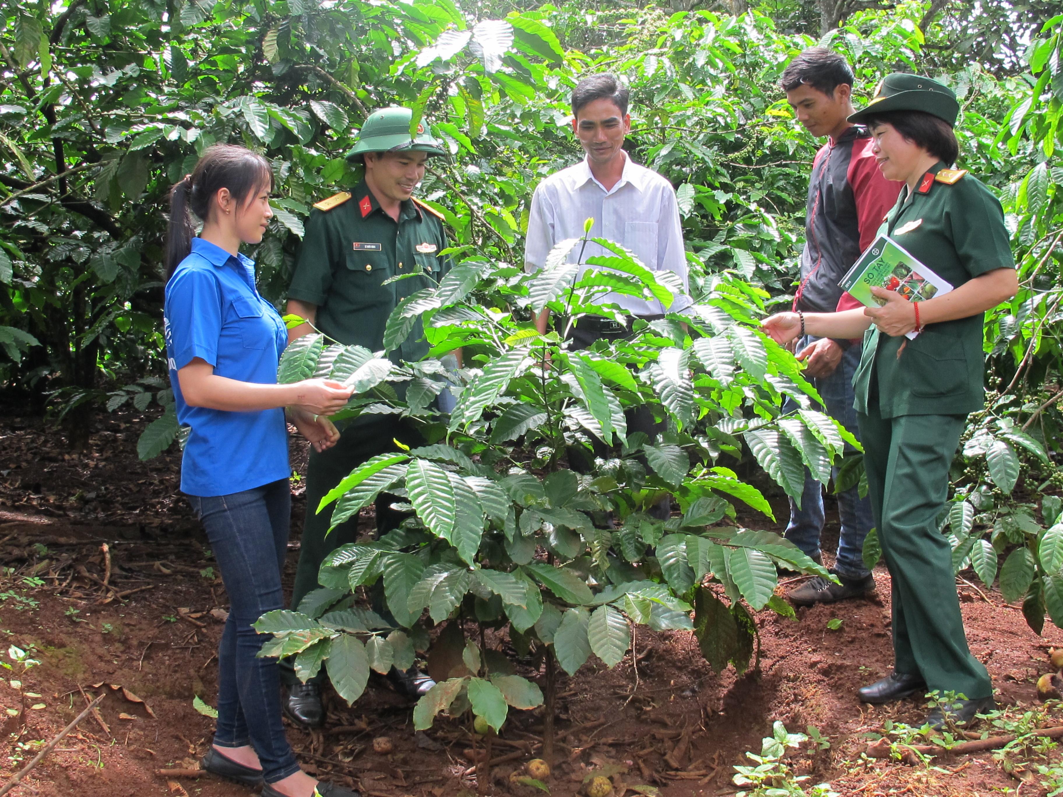 Giúp dân xóa đói, giảm nghèo hiệu quả