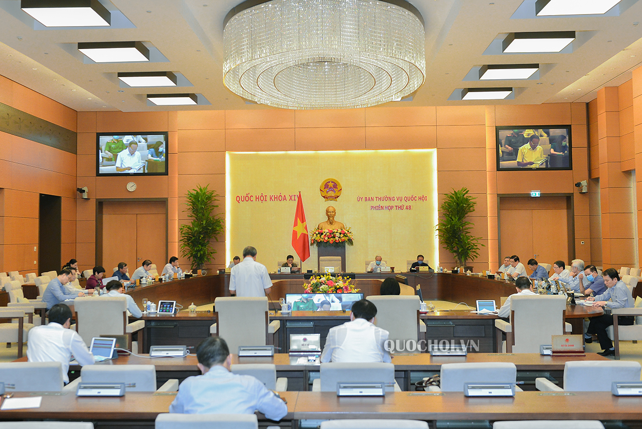 Cho ý kiến về các báo cáo phòng, chống vi phạm pháp luật, tham nhũng