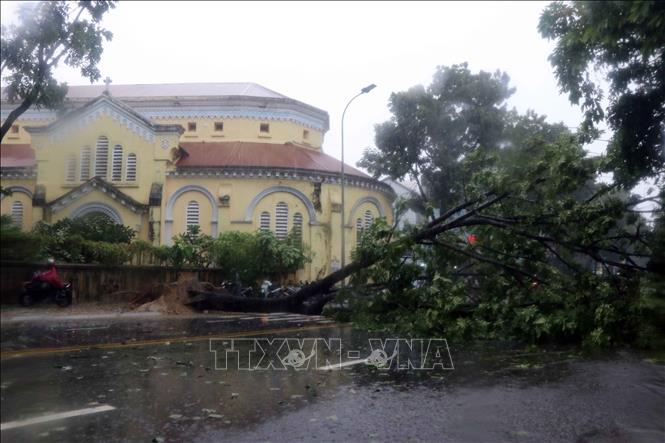 Bão số 5 đổ bộ vào đất liền, một số địa phương đã ghi nhận thiệt hại