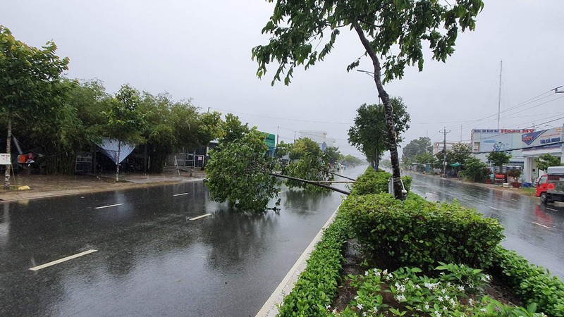 Mưa lớn kèm dông lốc gây thiệt hại tại Cà Mau