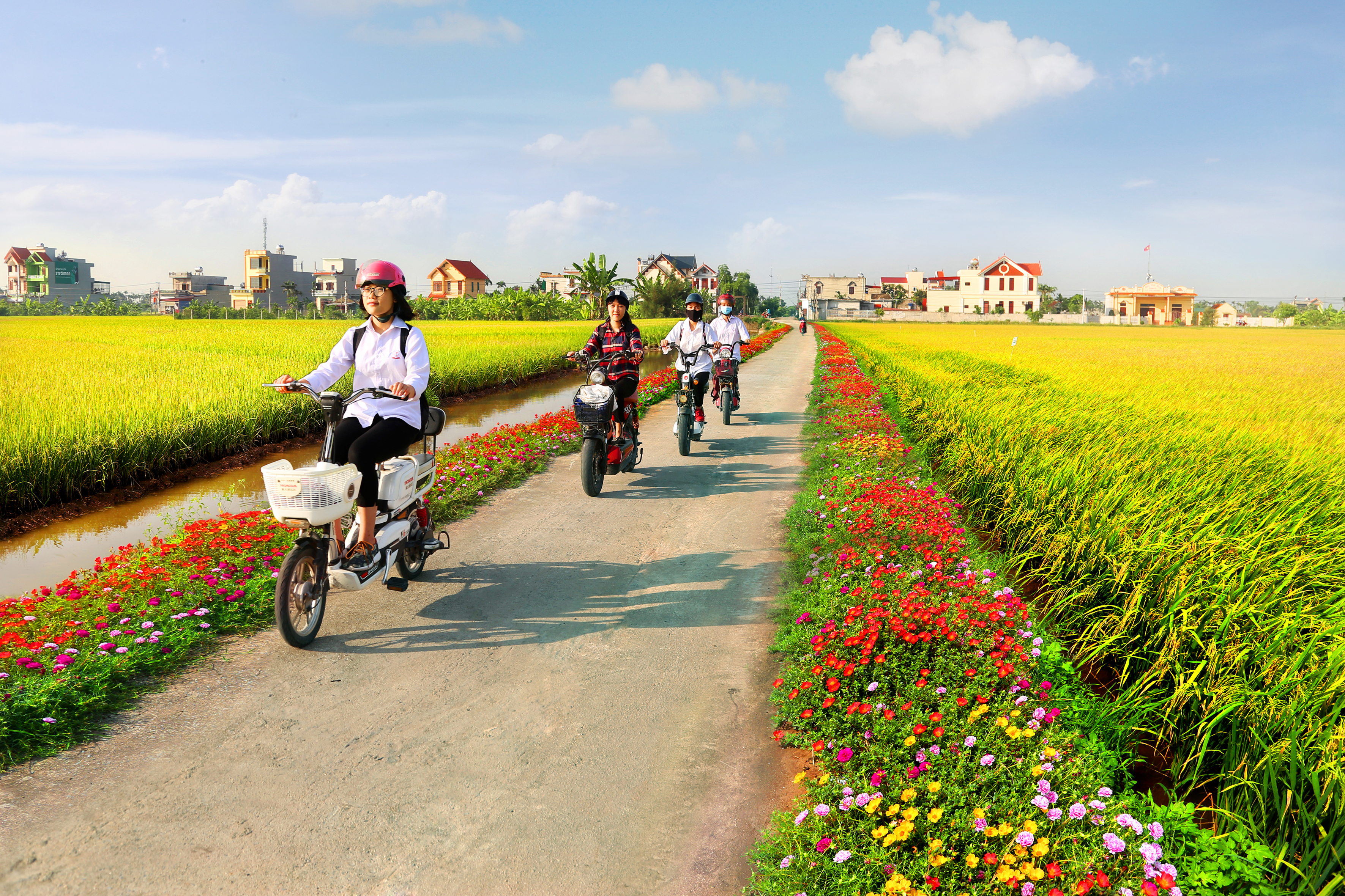 Tạo thế và lực mới đưa Nam Định phát triển đột phá