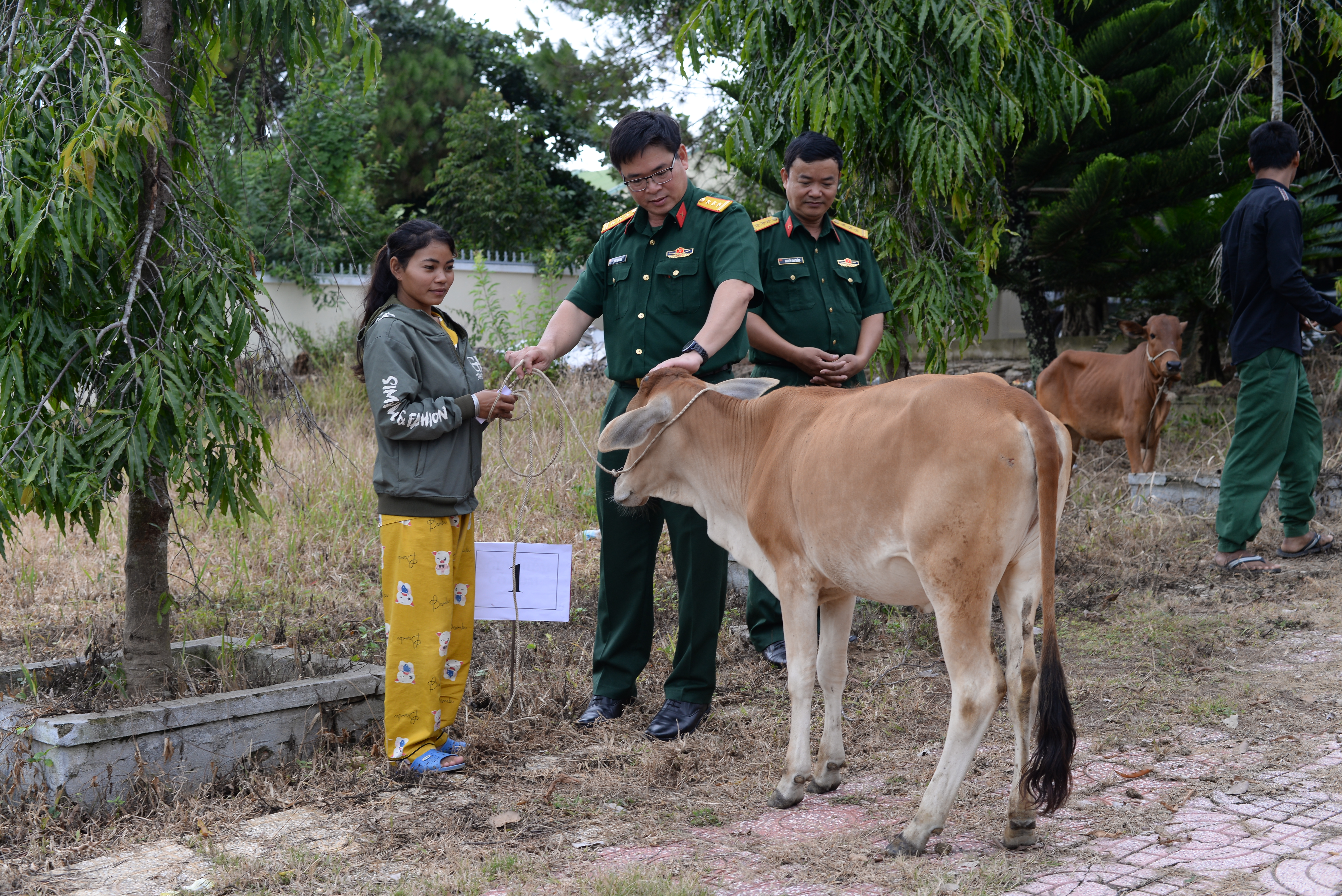 Tỉnh Khánh Hòa: Trao bò giống tặng hộ nghèo xã Ba Cụm Nam