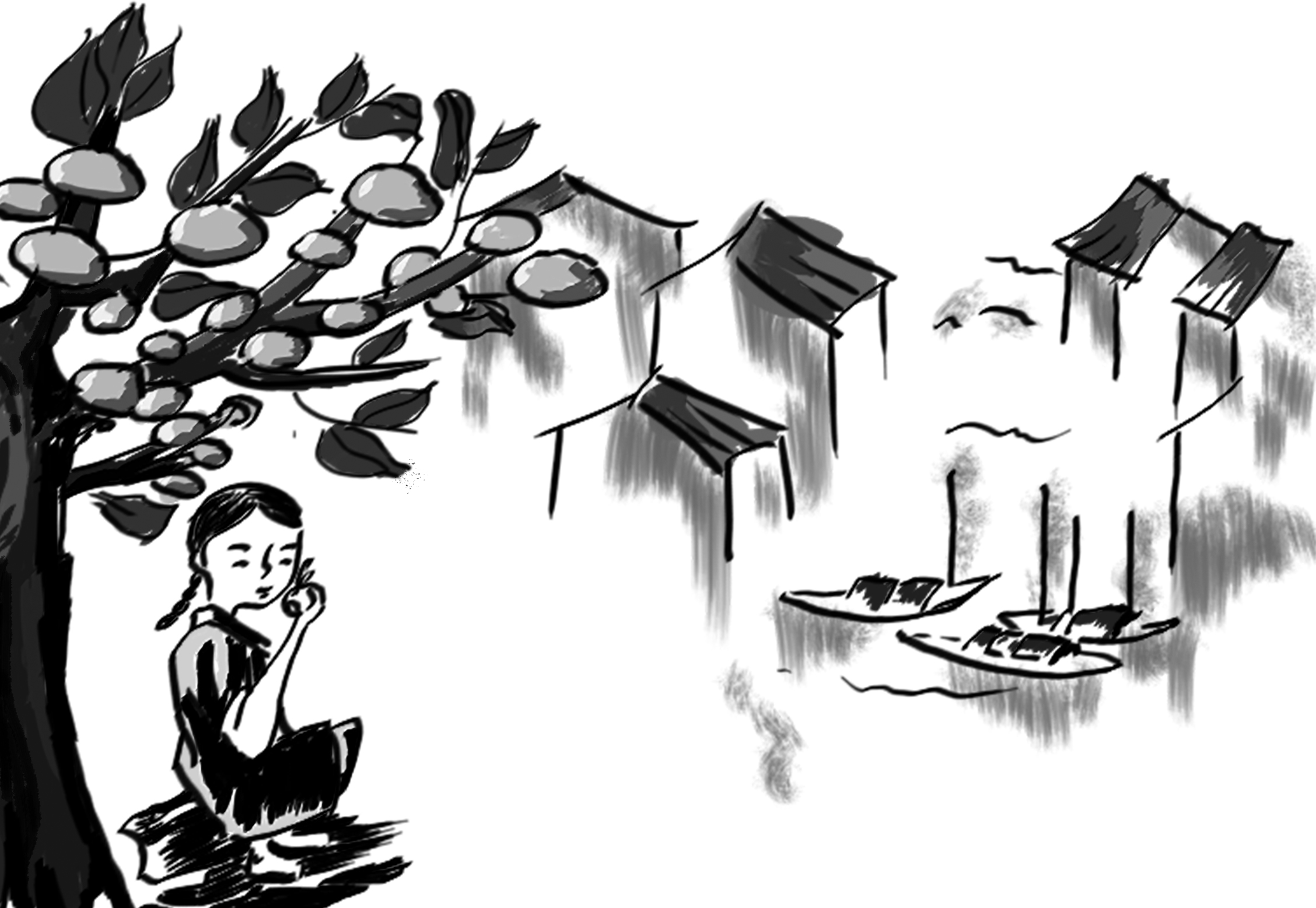 Mùa thị bên sông