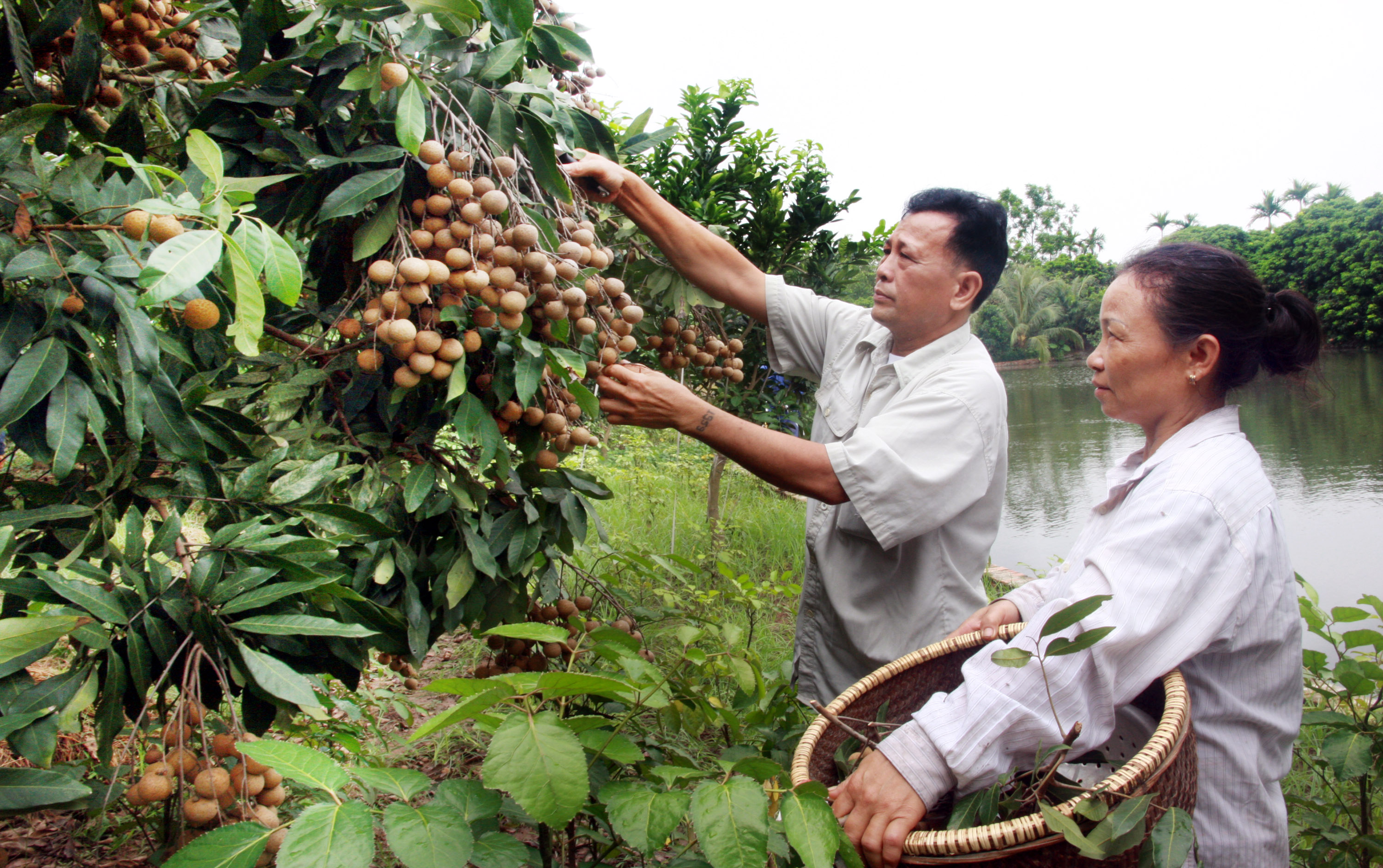 Bài 3: Thành quả ban đầu - nền tảng dài lâu (Tiếp theo và hết)