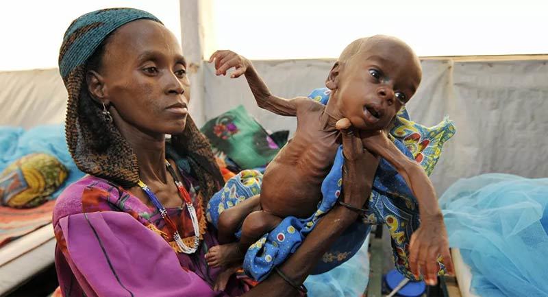 Giải Nobel Hòa bình 2020 vinh danh Chương trình Lương thực thế giới