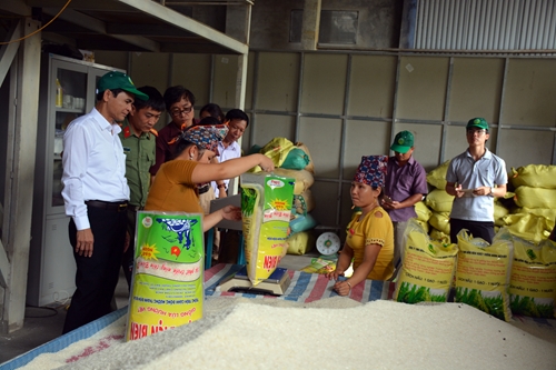 Nâng chất lượng để tăng giá trị lúa gạo Việt Nam