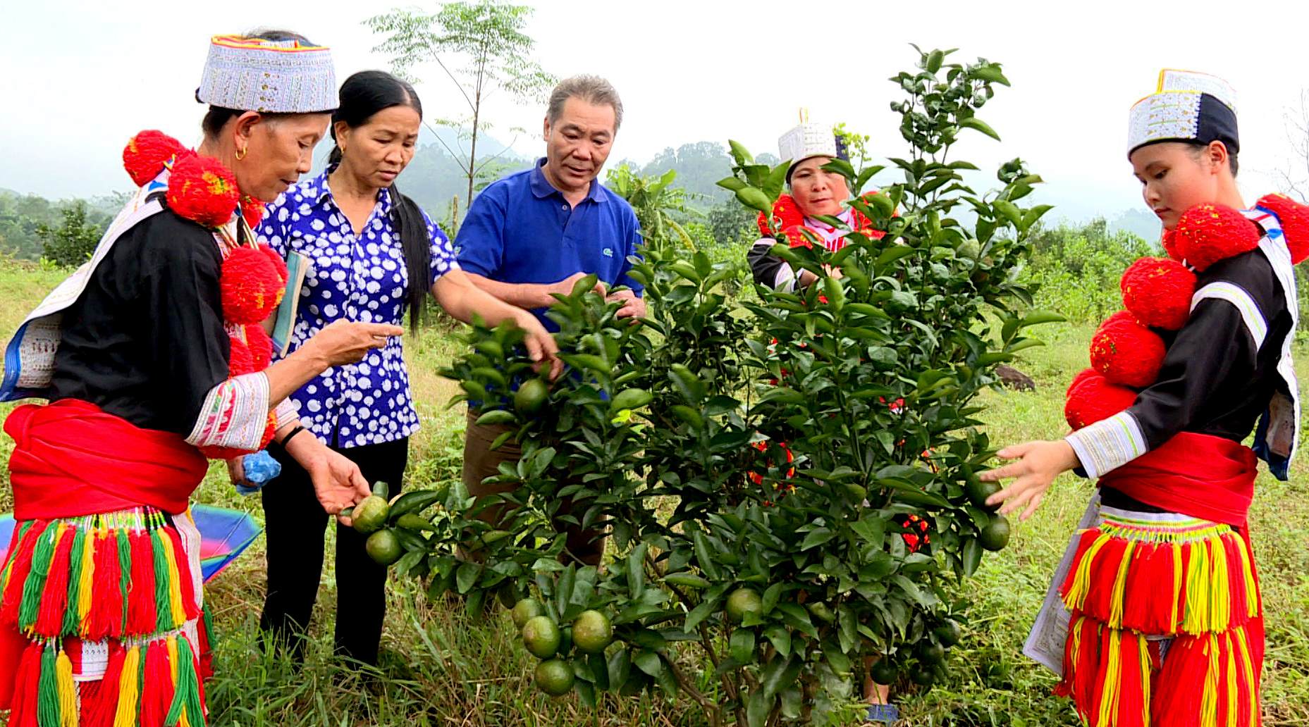 Nêu cao quyết tâm chính trị, đổi mới mạnh mẽ và vững chắc