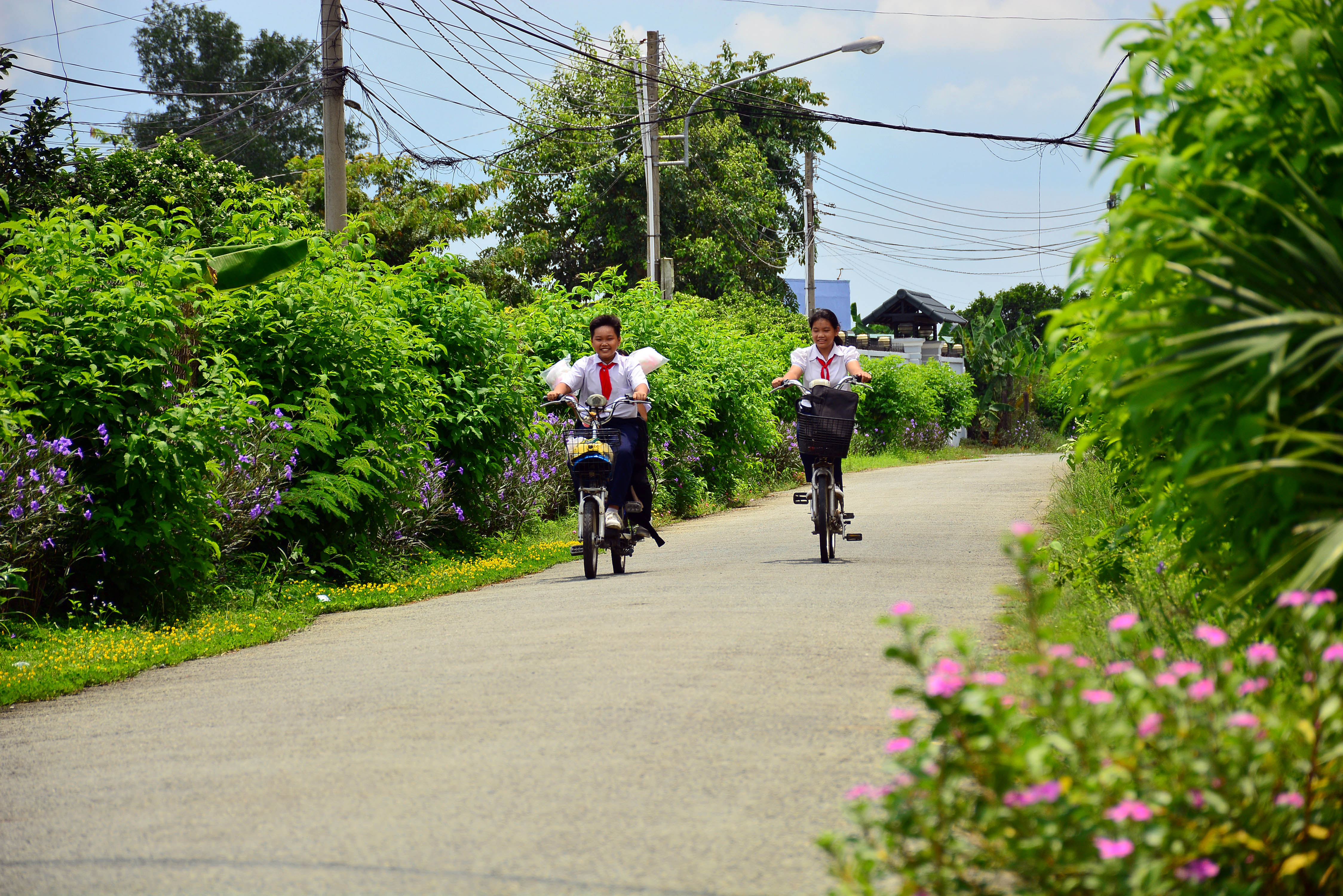 Điểm sáng nông thôn mới trên cù lao Bạch Đằng