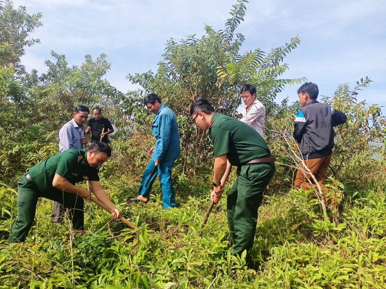 Phát động toàn dân phá nhổ cây lá ngón