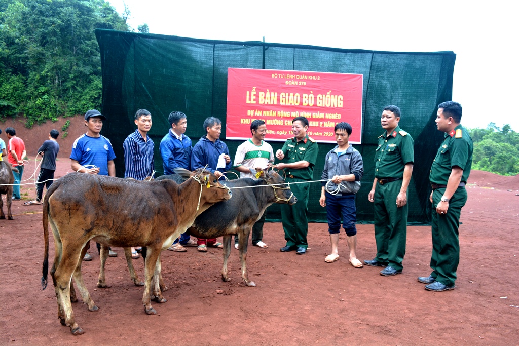 Đoàn Kinh tế - Quốc phòng 379: Trao tặng bò giống các hộ nghèo ở Nà Bủng