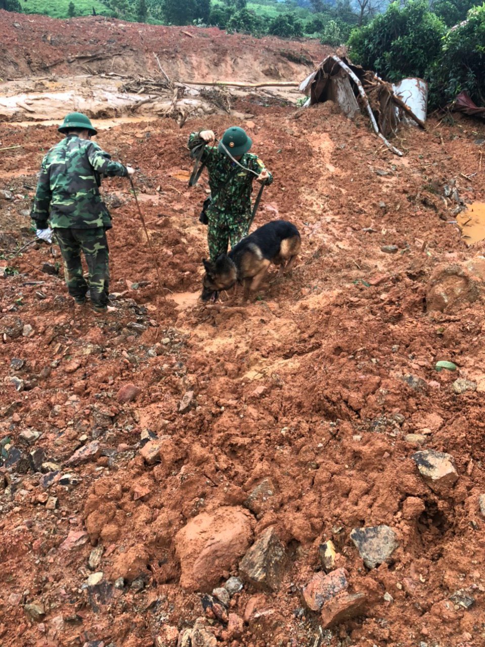 Chó nghiệp vụ của bộ đội biên phòng xác định vị trí chính xác thi thể 4 cán bộ, chiến sĩ Đoàn KTQP 337 gặp nạn