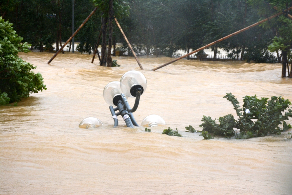 Nước ngập sâu, cùng gió to gây gãy đổ cây cối, cột điện.
