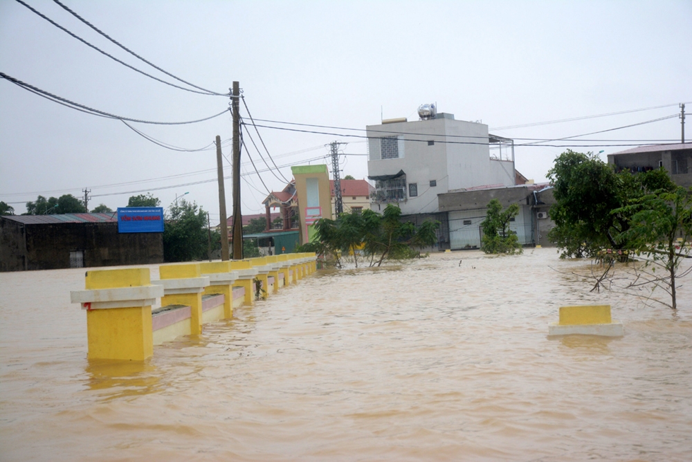 Nước ngập ruộng đồng