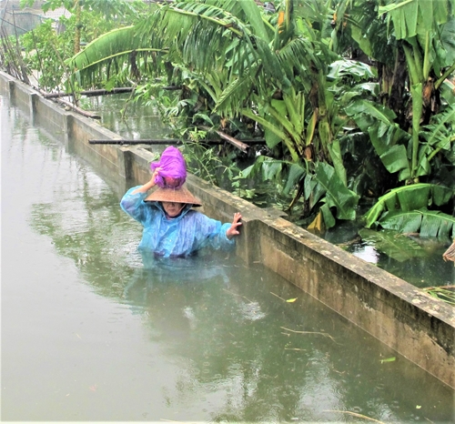Hà Tĩnh: 6 người chết, hơn 151.000 hộ dân bị thiệt hại do mưa lũ