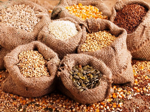 Thủ tướng Chính phủ quyết định xuất cấp hạt giống cây trồng hỗ trợ 2 tỉnh Ninh Thuận và Hà Giang