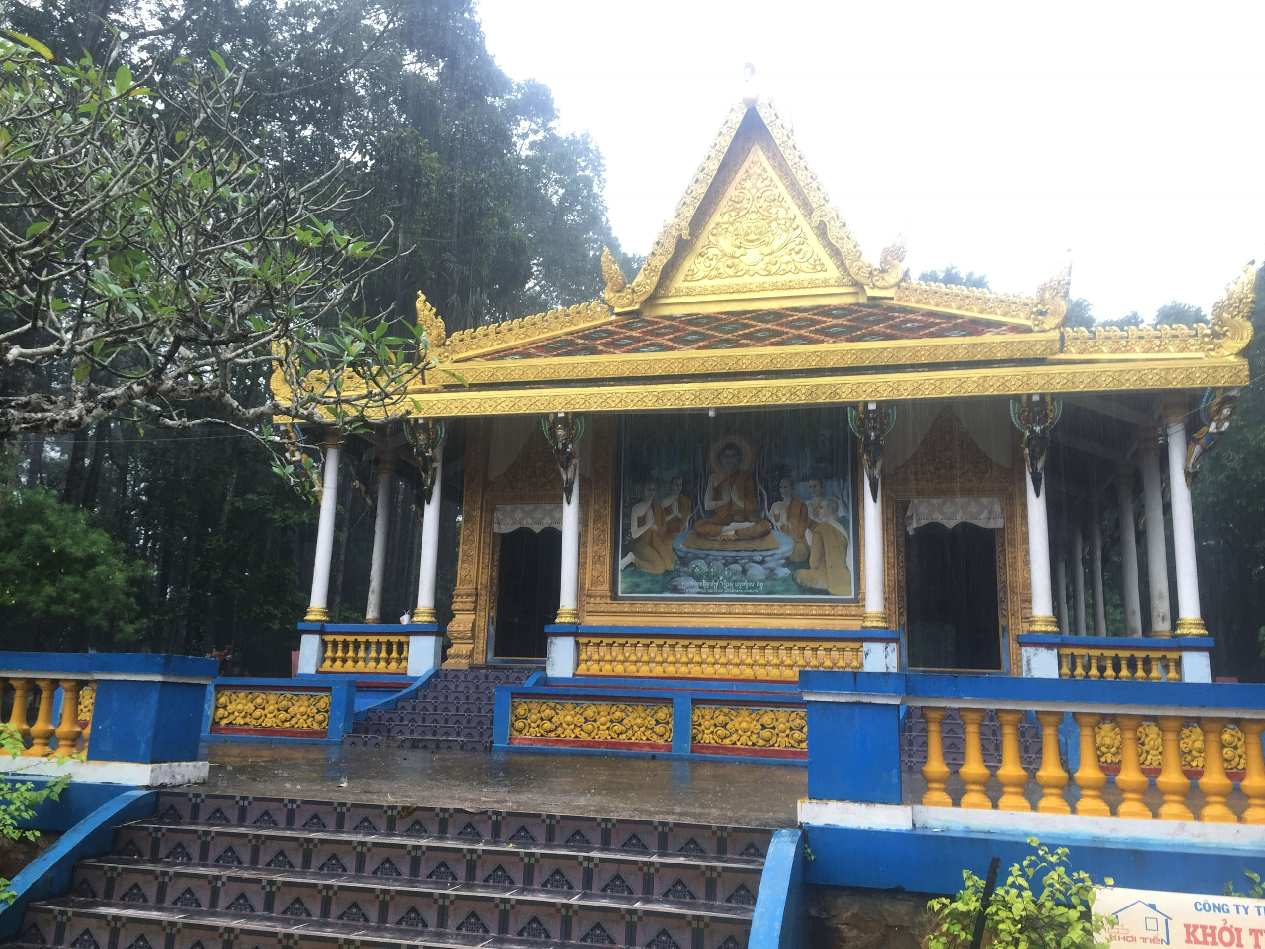 Vãng cảnh chùa Dơi