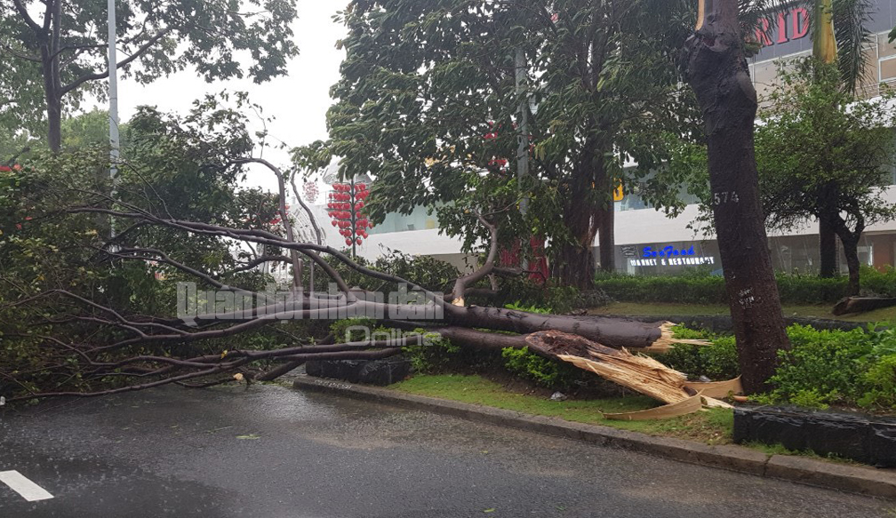SỐNG CHUNG VỚI THIÊN TAI