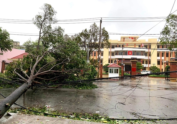Miền Trung sau trận “càn quét” của bão số 9 