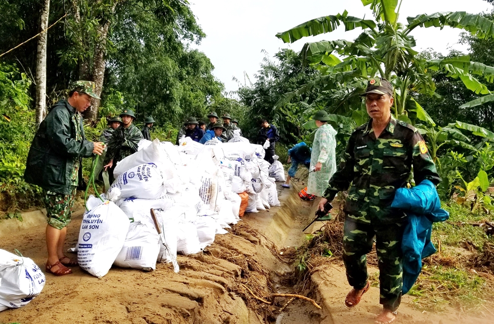 Toàn bộ gạo được cán bộ, chiến sĩ Bộ đội biên phòng tập kết để cứu trợ nhân dân vùng lũ Phước Sơn.
