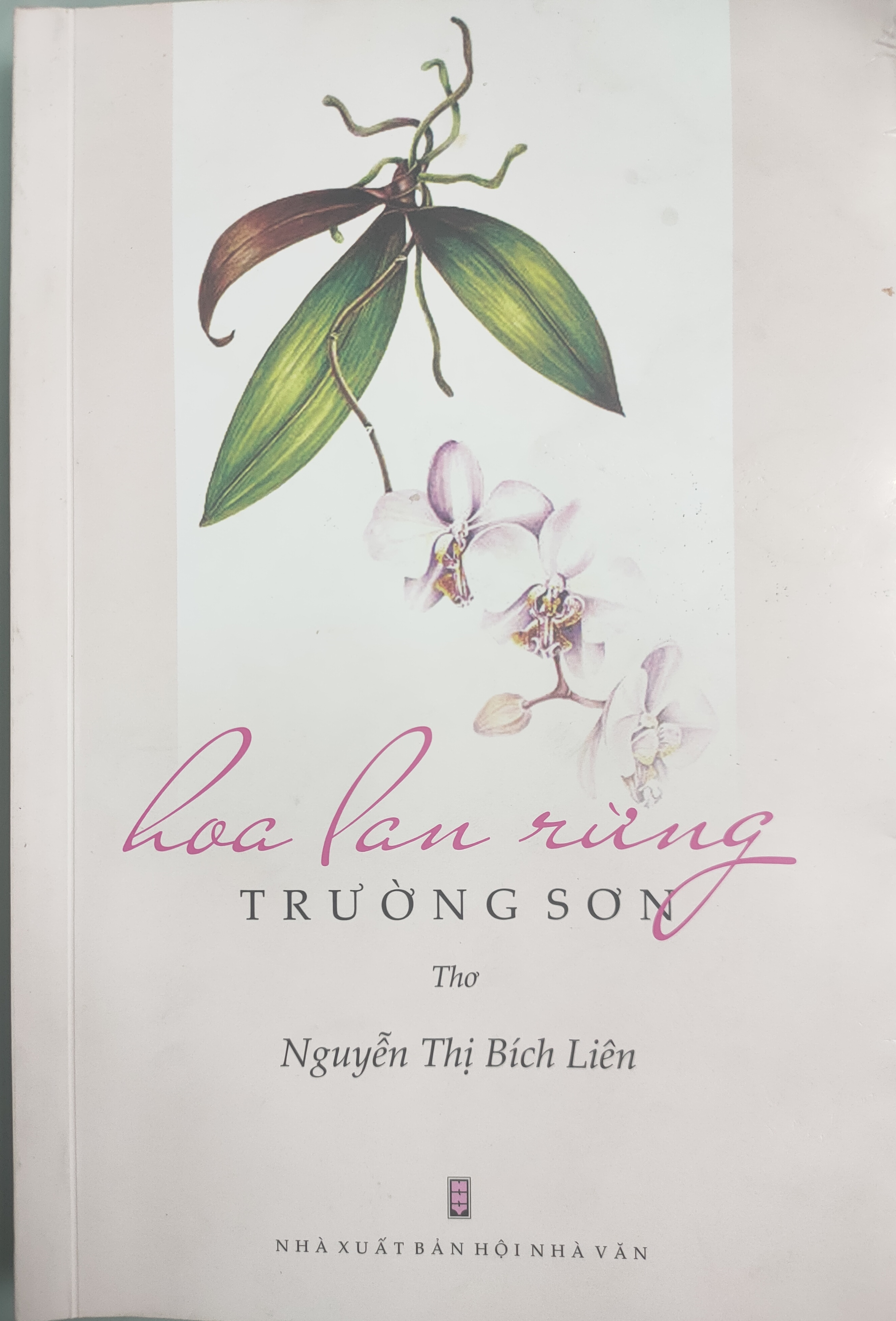 Hoa lan rừng Trường Sơn