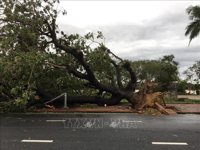 Bão số 13: Thừa Thiên - Huế gió giật cấp 11