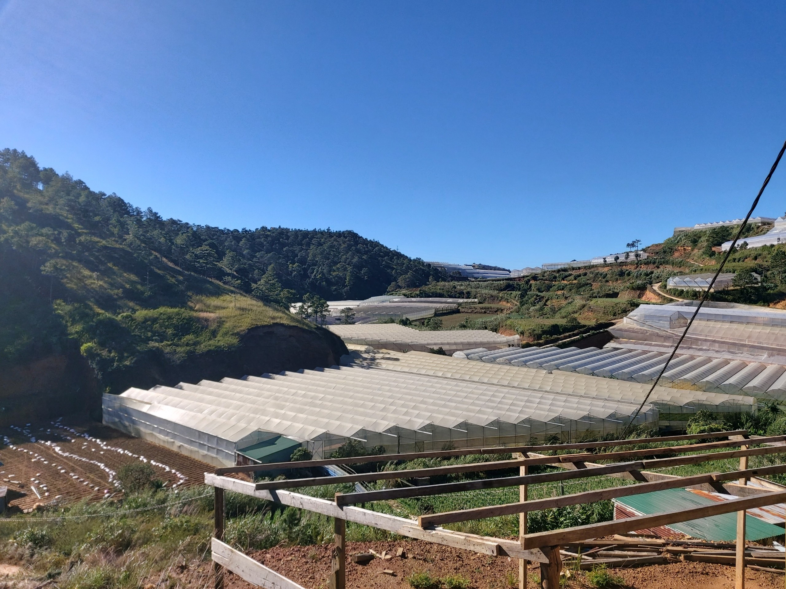 Bắt đầu cấm và hạn chế xây dựng nhà kính trên đất nông nghiệp tại Lâm Đồng