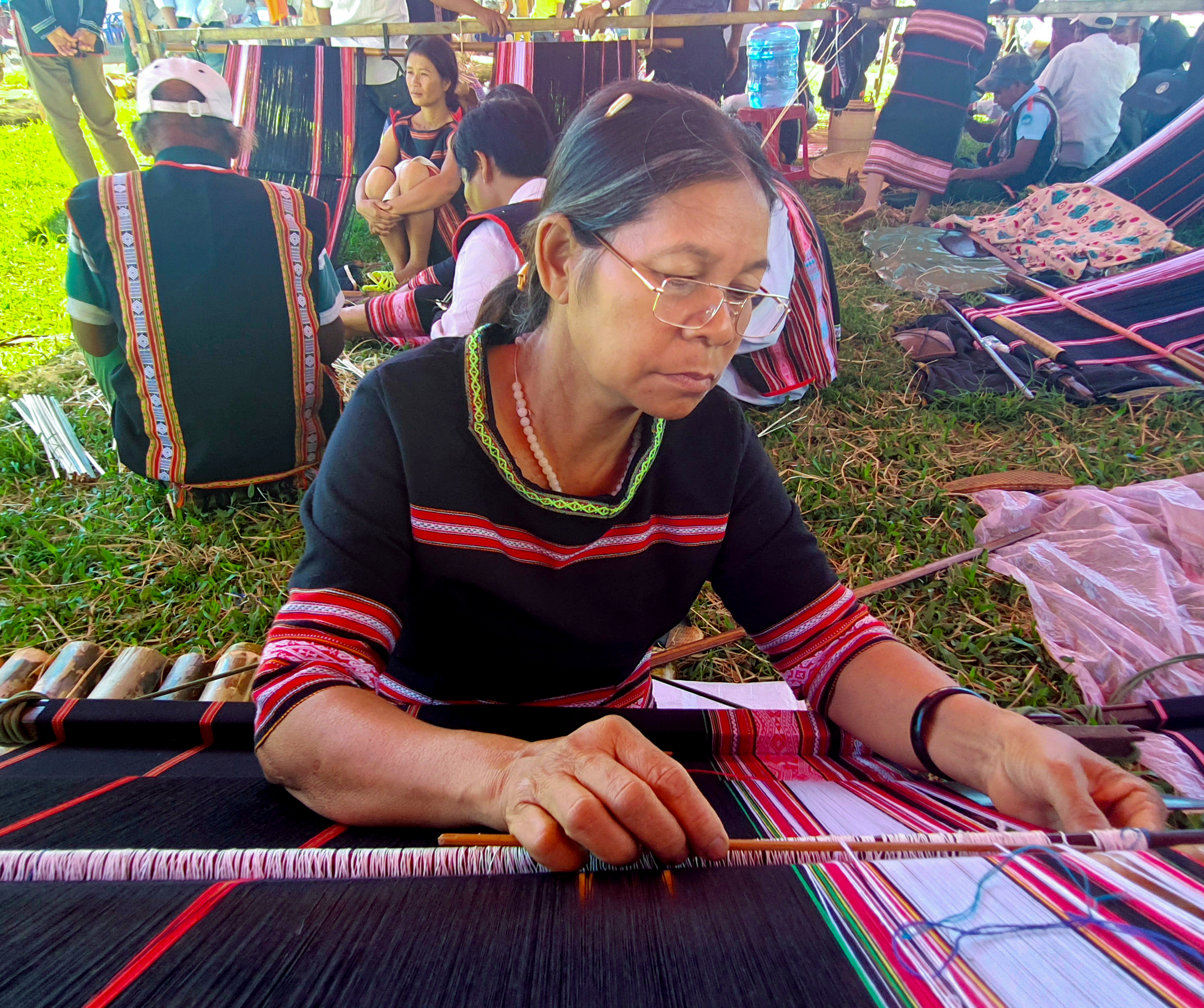 Tuần lễ thưởng ngoạn hoa dã quỳ-núi lửa Chư Đang Ya