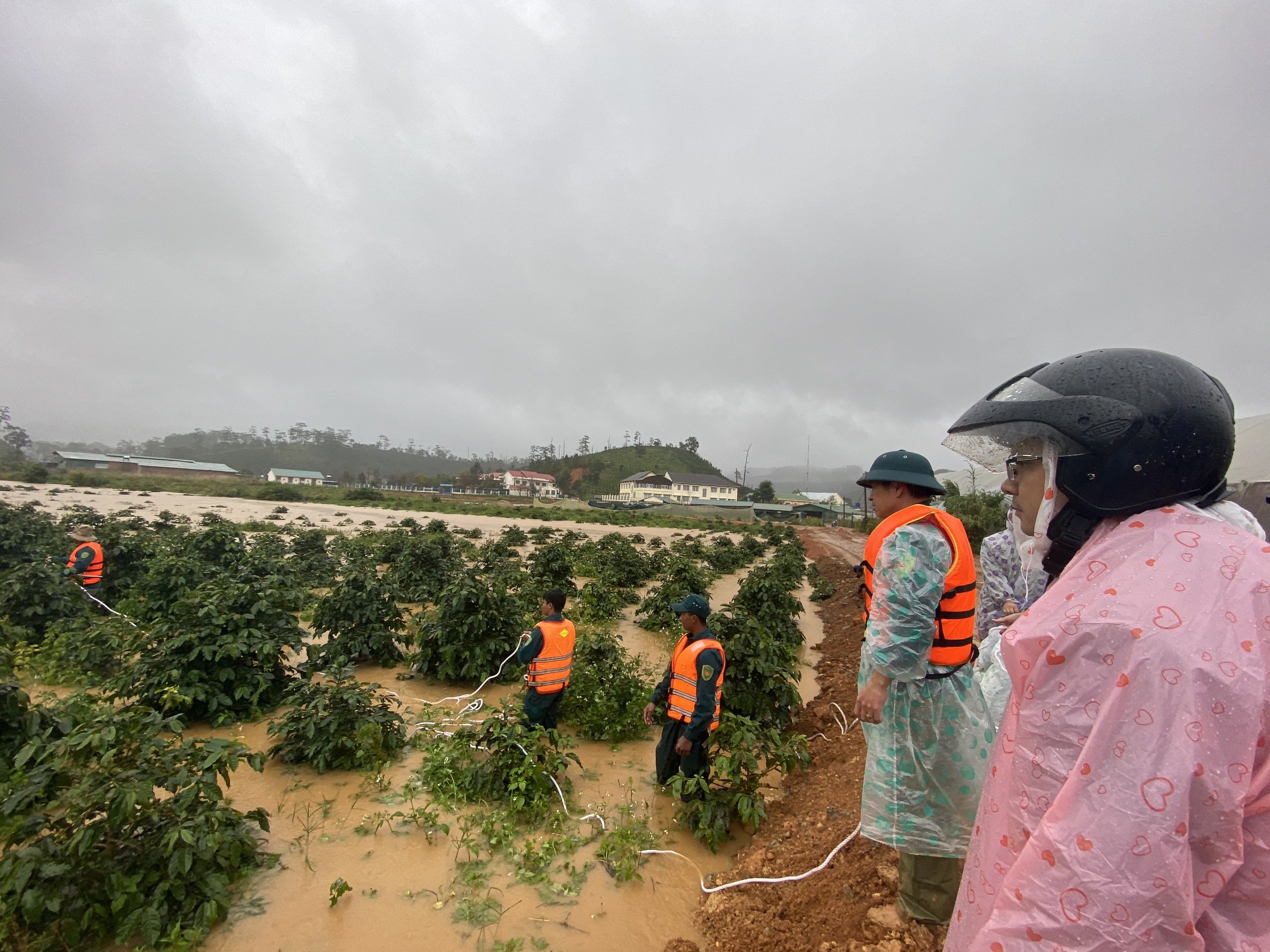 Nỗ lực tìm kiếm 2 nữ du khách bị nước lũ cuốn mất tích tại Lâm Đồng