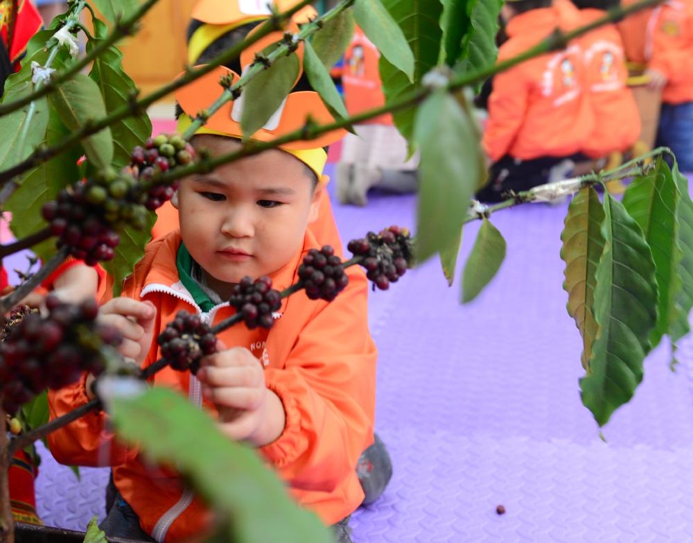 Trong bài học, trẻ được tham gia trực tiếp vào quá trình tạo ra hạt cà phê và hiểu được giá trị của lao động.