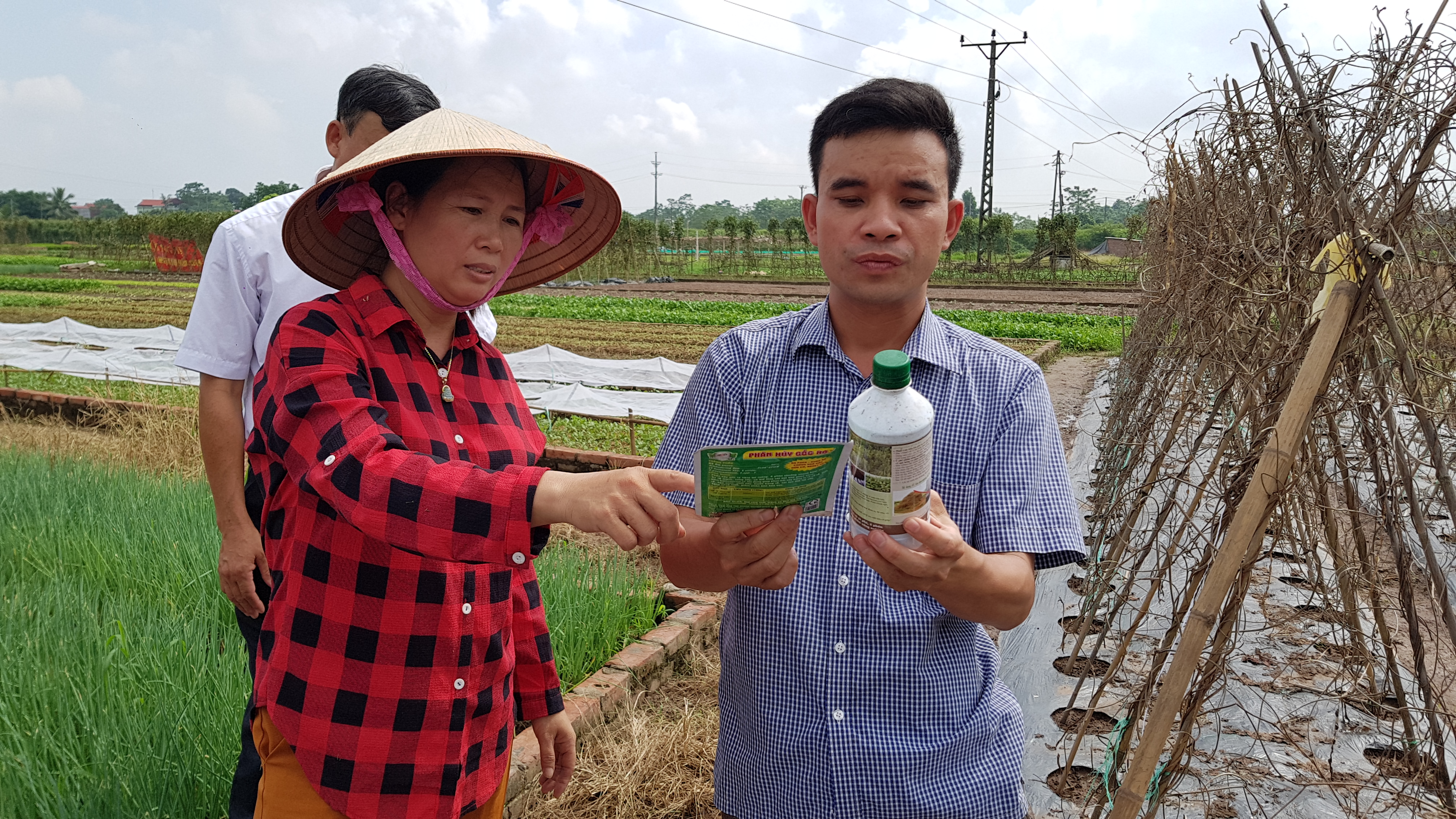 Lan tỏa tinh thần hiếu học từ các mô hình học tập