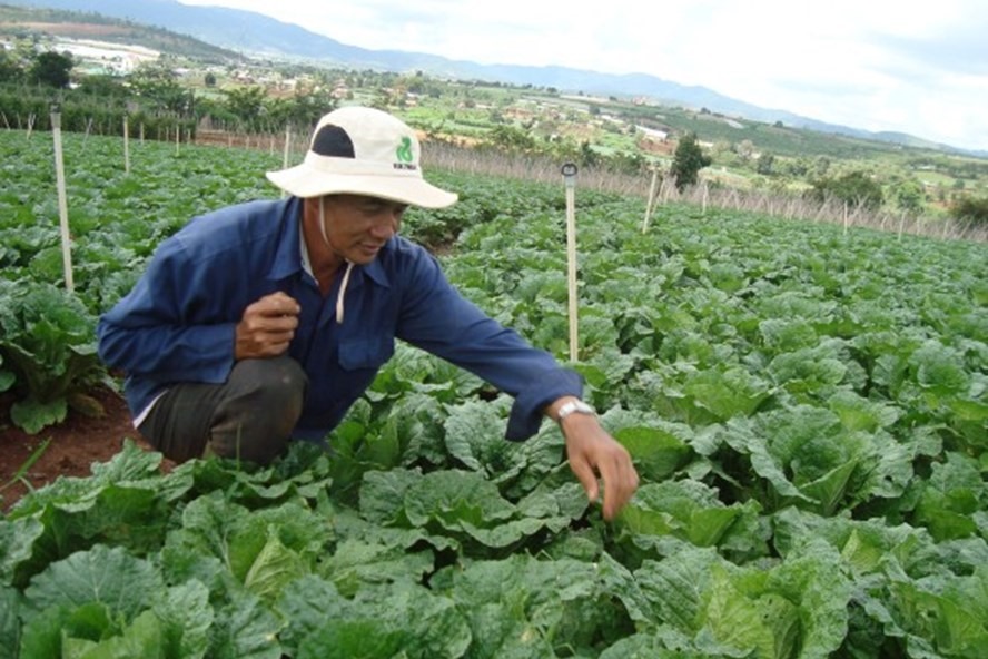 ĐỂ CÓ NHIỀU TỶ PHÚ NÔNG DÂN
