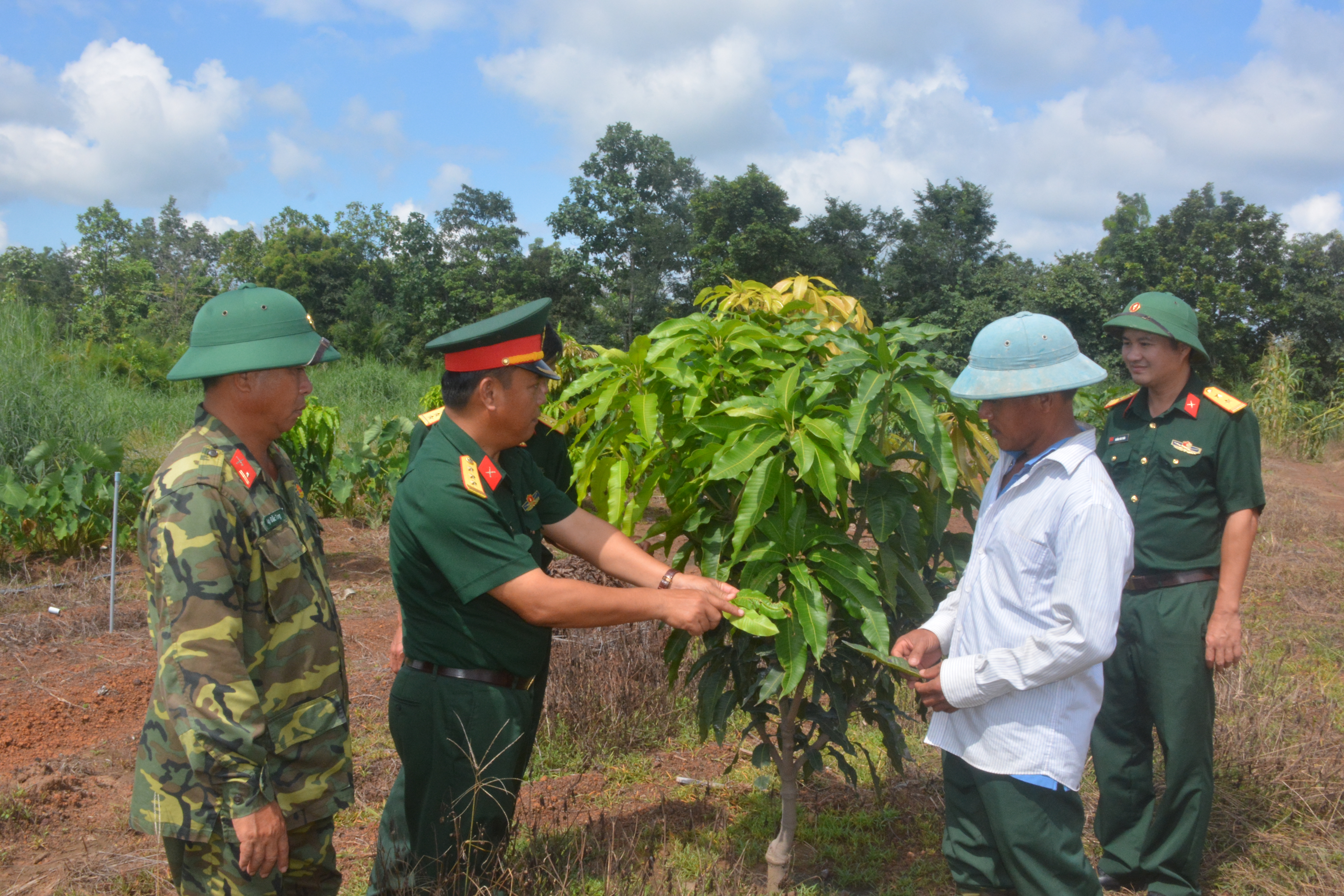 Quân - dân vùng biên Ea Súp chung sức xóa nghèo