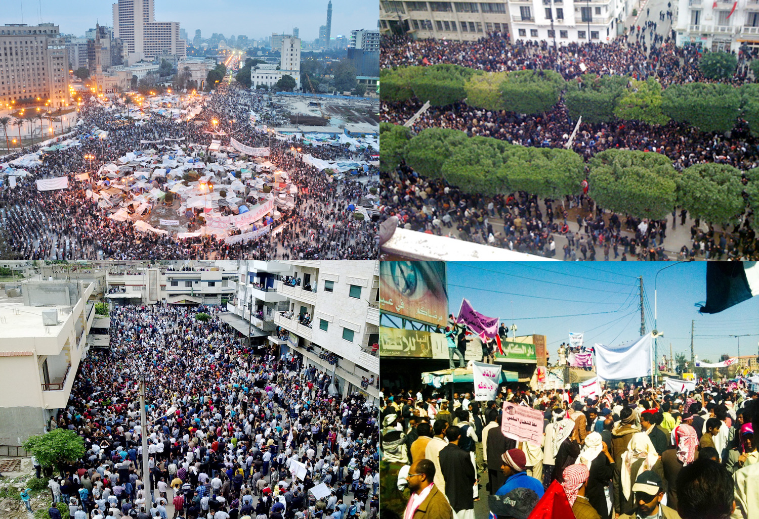 Hồi âm loạt bài “Mùa xuân Arab - 10 năm nhìn lại”