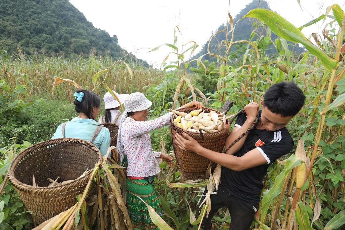 Bài 1: Nông dân “đánh cược” tài sản cho từng mùa vụ